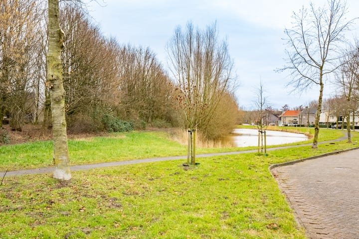 Foto 34 van Herman Teirlinckhove 15