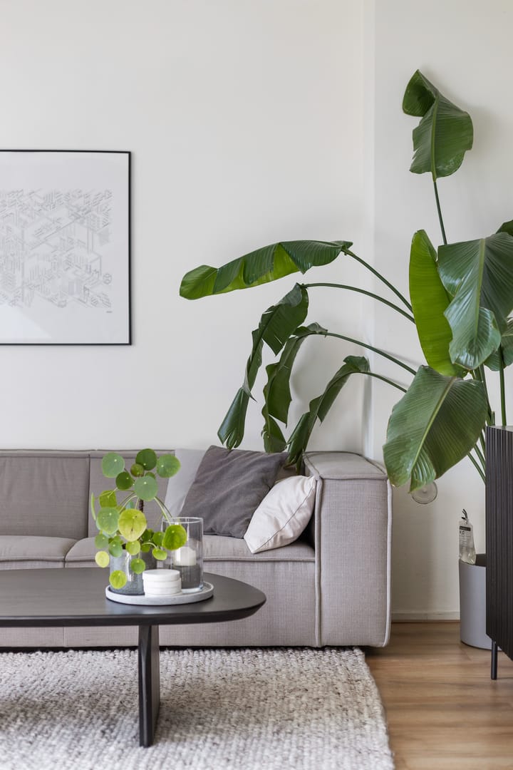 Foto 13 van Hoornsediep 156