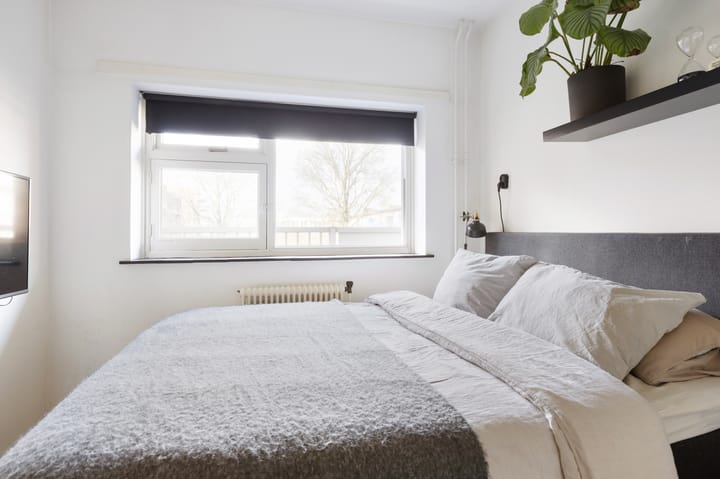 Foto 30 van Hoornsediep 156