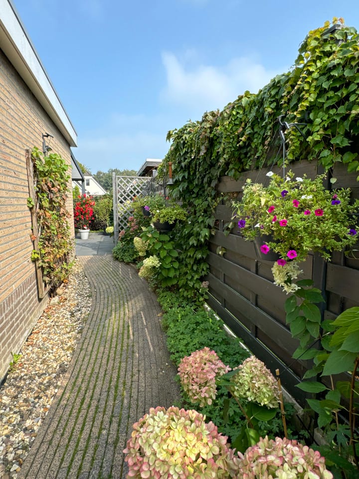 Foto 22 van Laurier 10