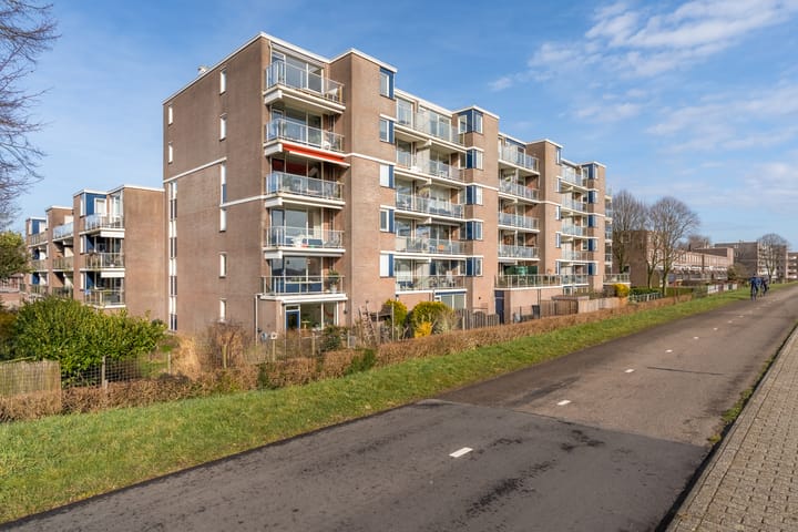 Foto 29 van Kribbemonde 29