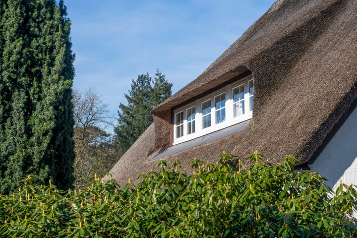 Foto 76 van Narcislaan 4