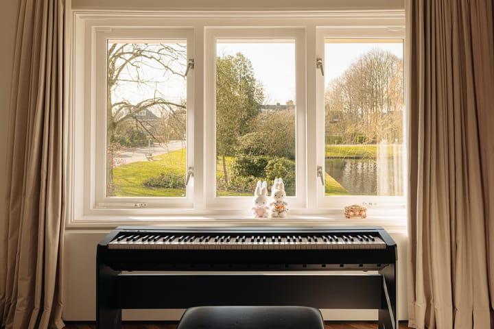 Foto 30 van van Ostadelaan 67