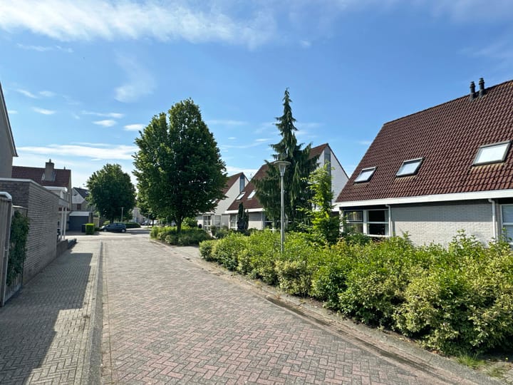 Foto 8 van Weigelia 13