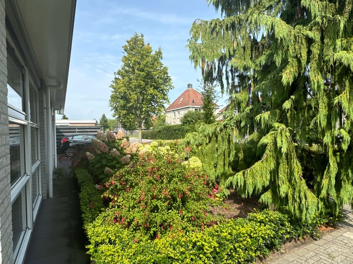 Foto 9 van Weigelia 13