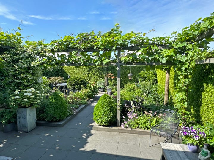 Foto 13 van Weigelia 13