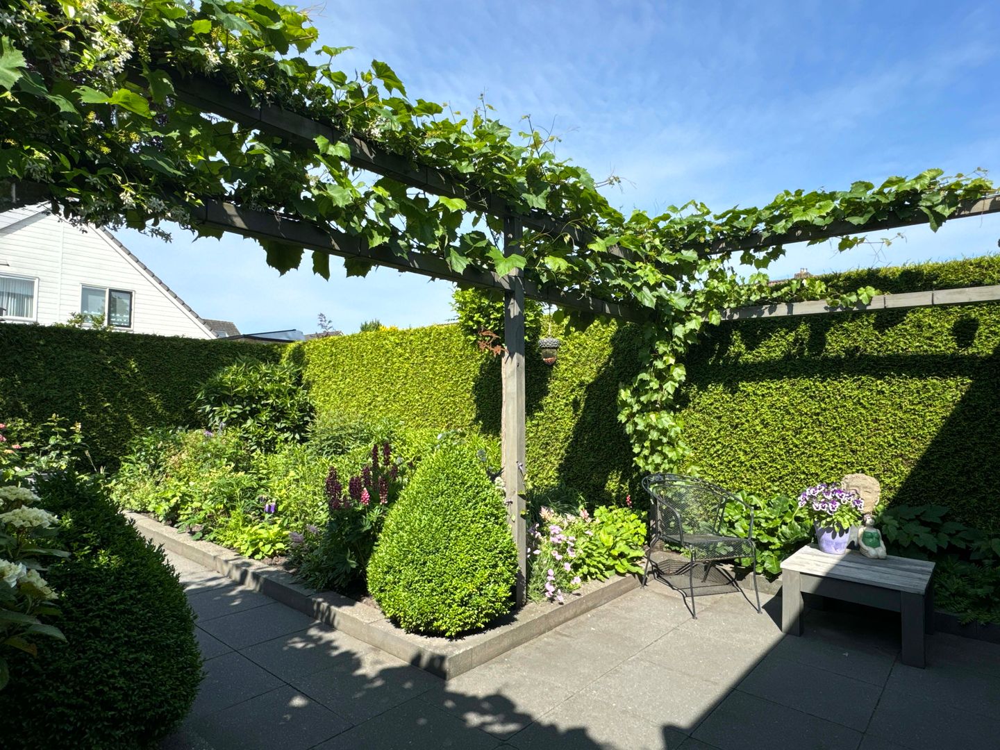 Foto 14 van Weigelia 13