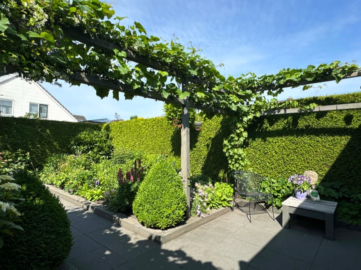 Foto 14 van Weigelia 13