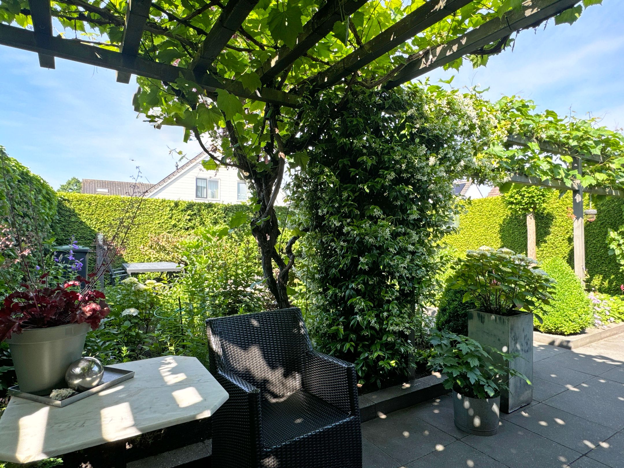 Foto 15 van Weigelia 13