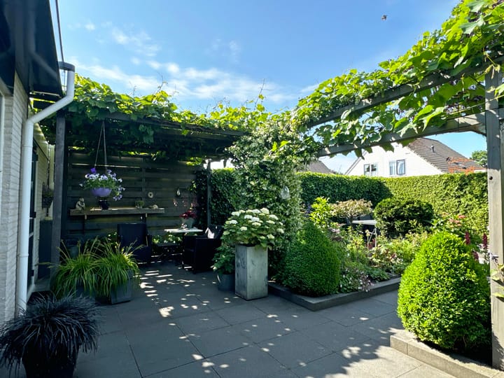 Foto 12 van Weigelia 13