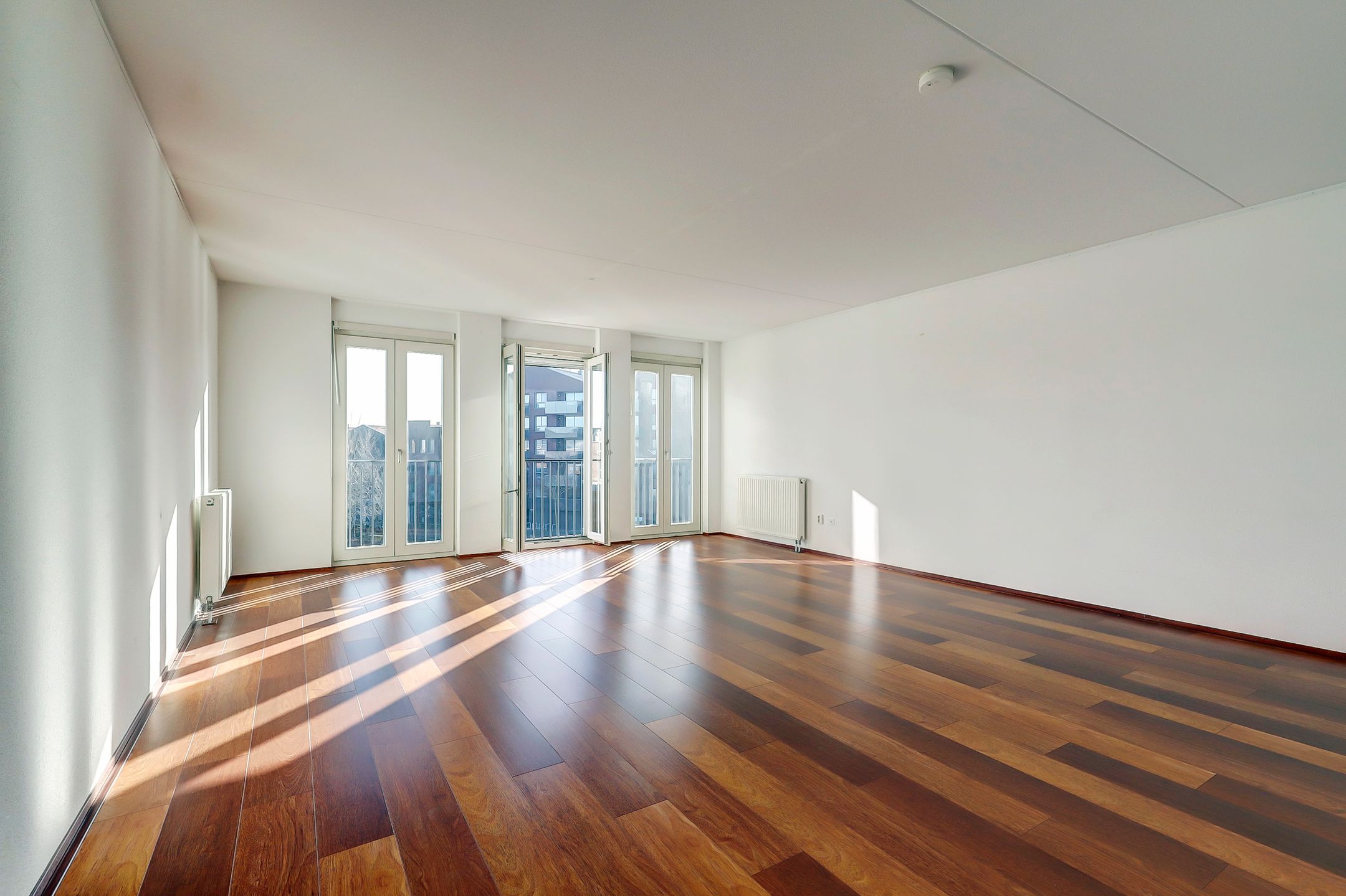 Foto 12 van Turfsingel 66-J