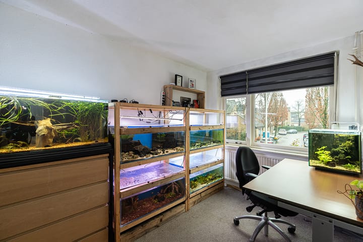 Foto 17 van Ring 278