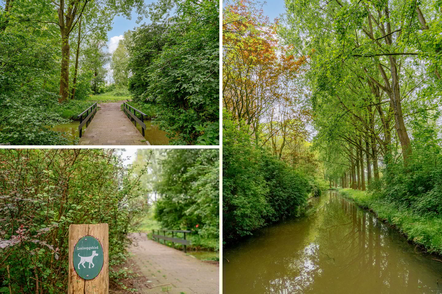 Foto 40 van Tobias Asserlaan 409