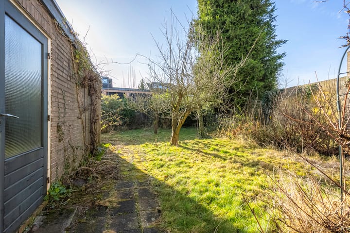 Foto 20 van Junostraat 8