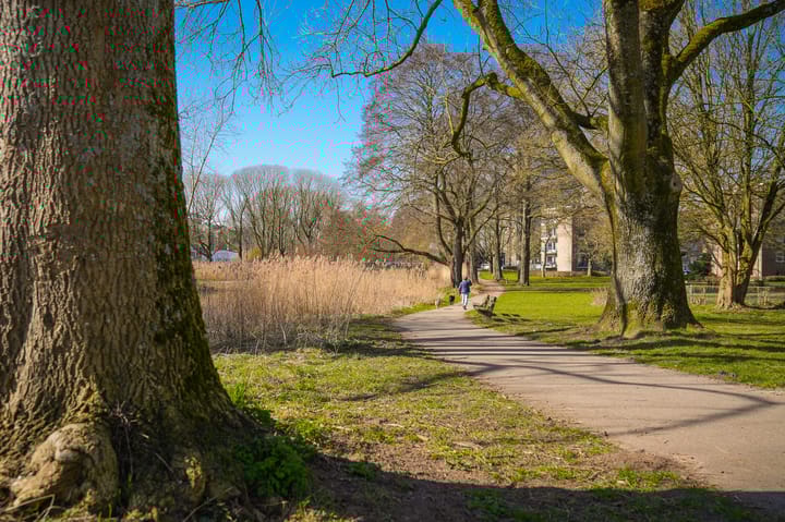 Foto 41 van Rubenslaan 123