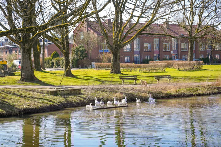 Foto 43 van Rubenslaan 123