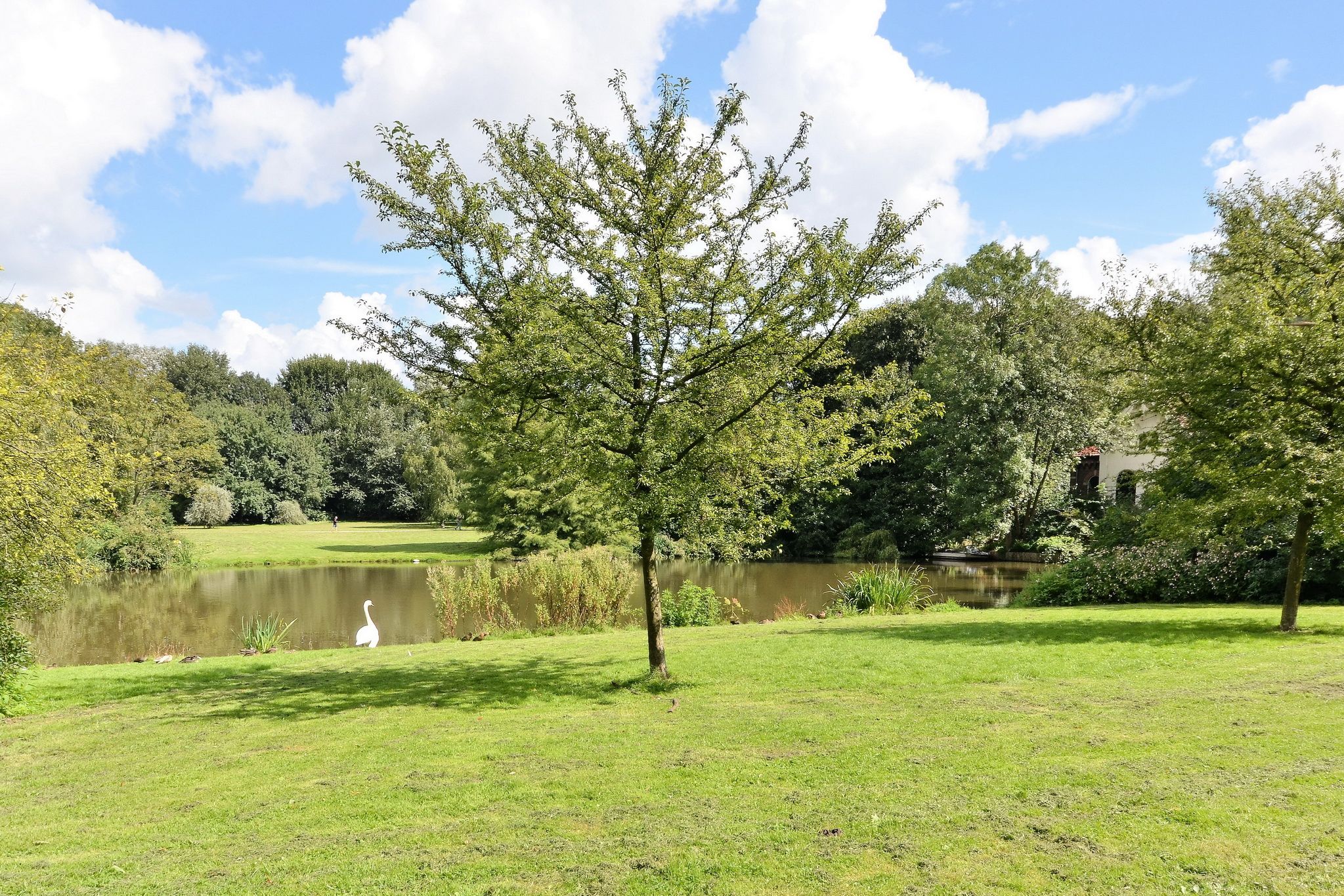 Foto 51 van Linnaeusparkweg 29-H