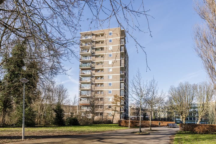 Foto 24 van Dignaland 54