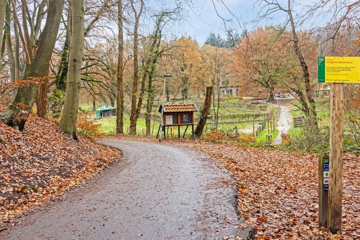 Foto 36 van Hoogstedelaan 28