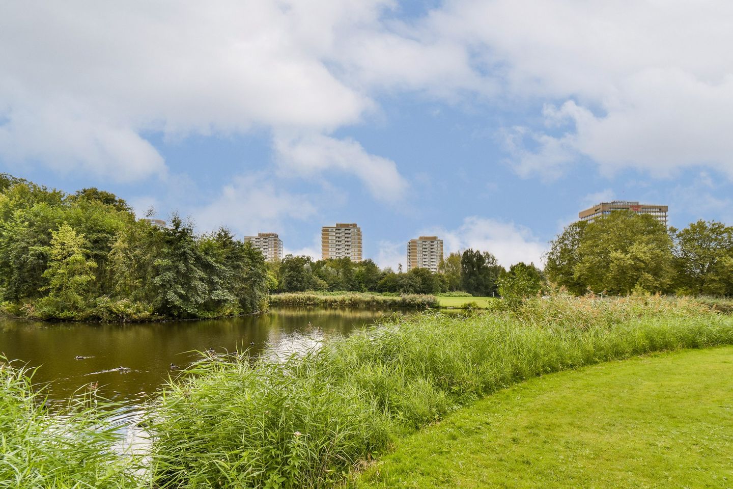 Photo 25 of Bartholomeus Diazstraat 52-2