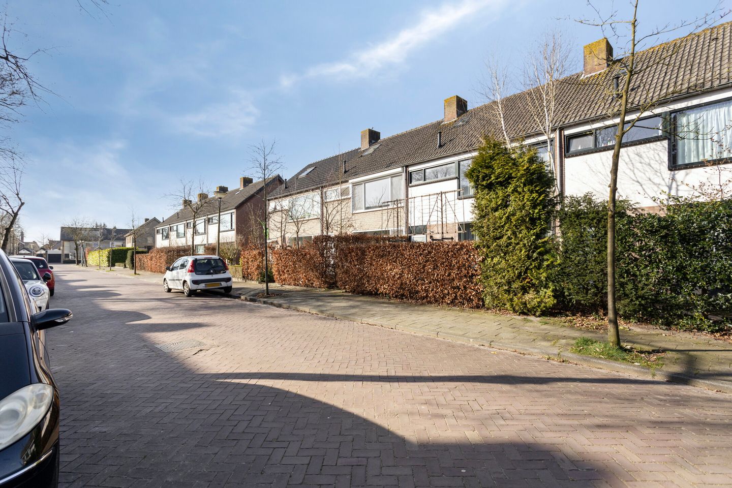 Foto 34 van Eikakker 4