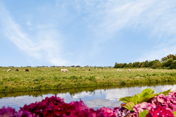 Foto 4 van Oosteinde 79