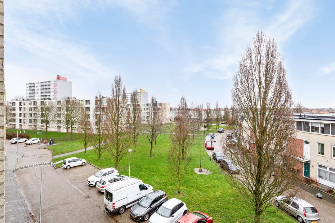 Foto 16 van Schaepmanstraat 101