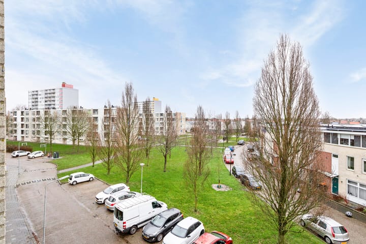 Foto 16 van Schaepmanstraat 101