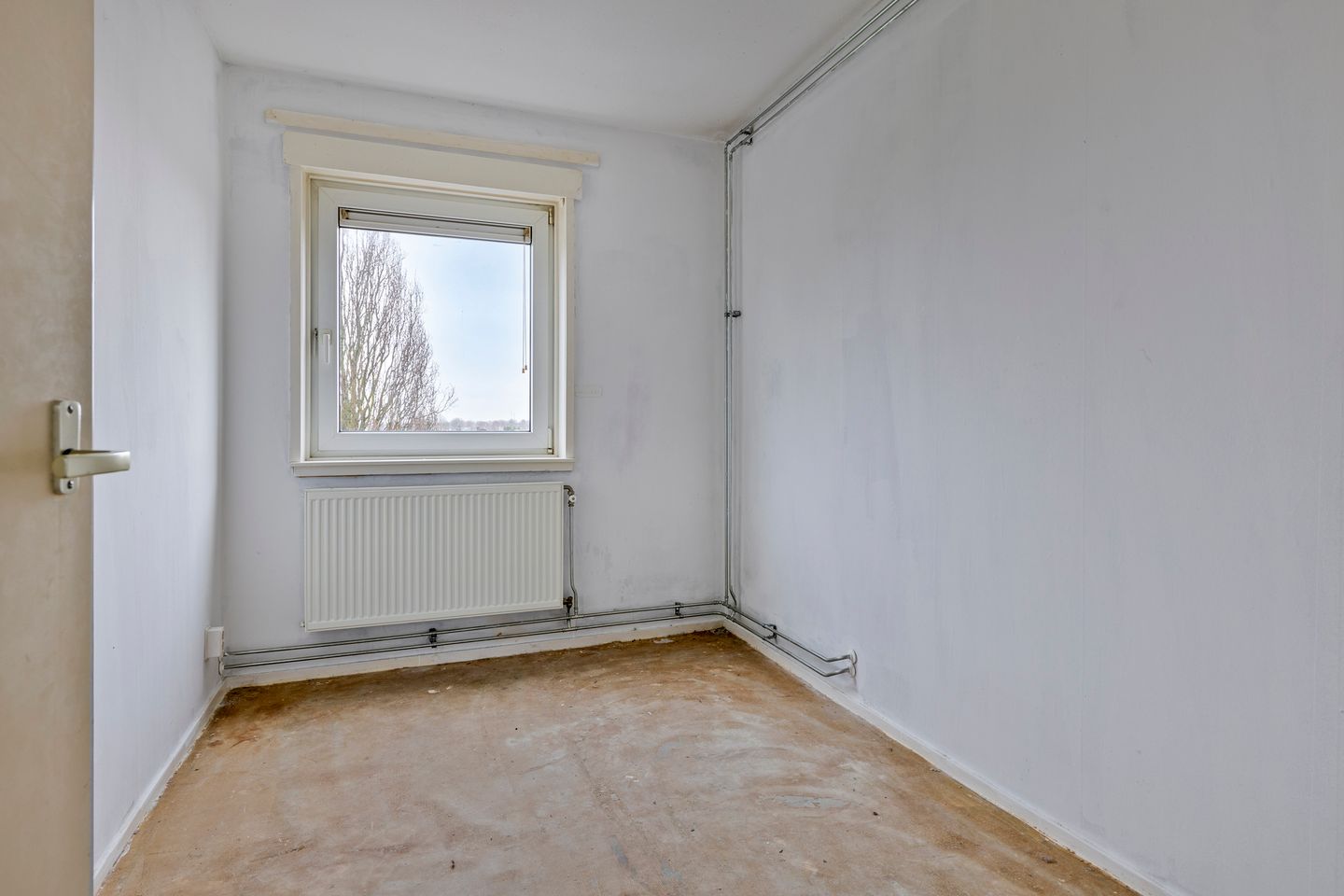 Foto 19 van Schaepmanstraat 101