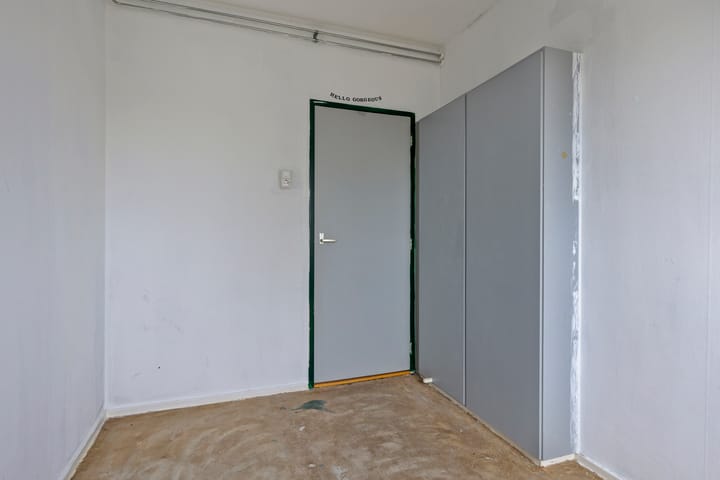 Foto 20 van Schaepmanstraat 101