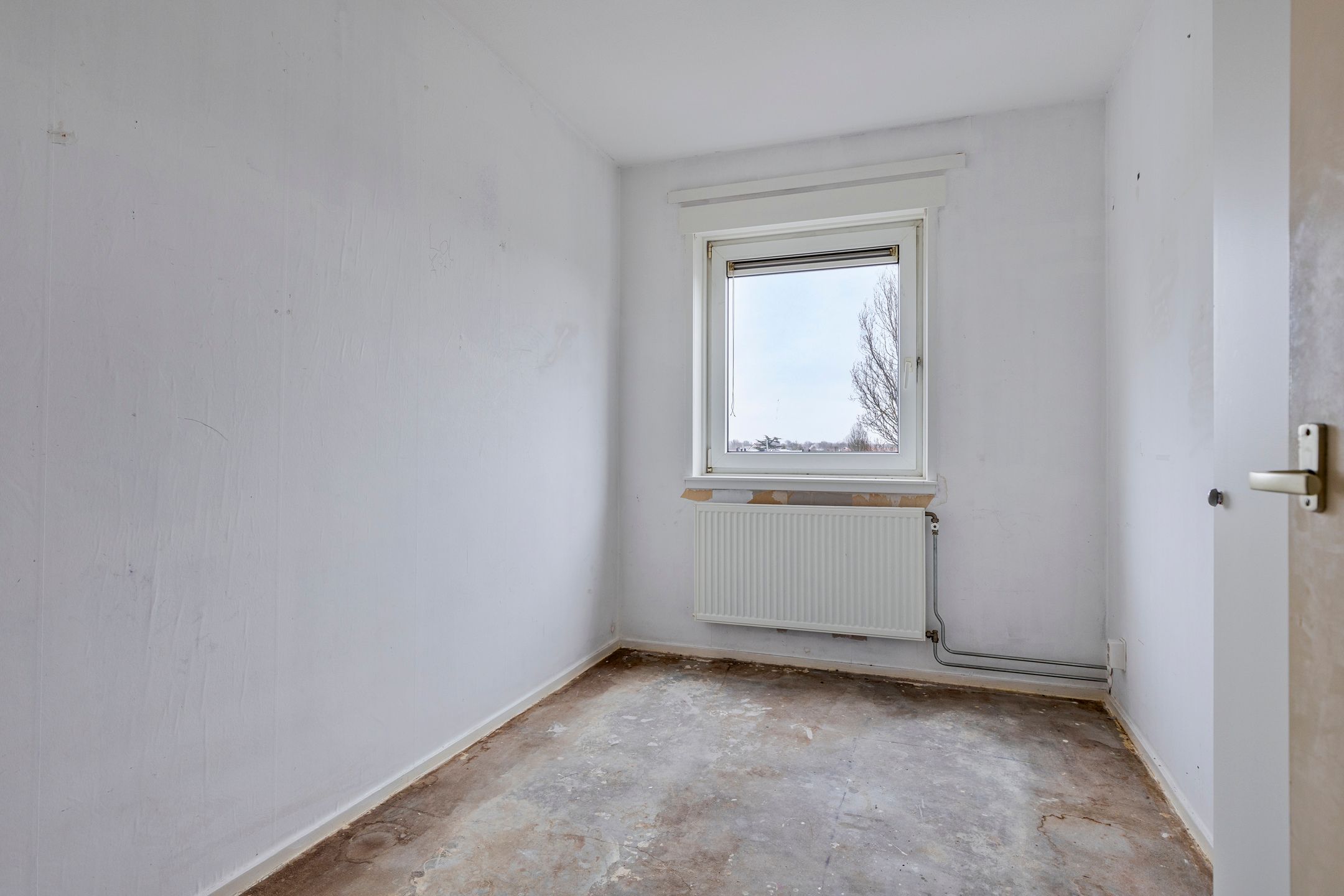 Foto 21 van Schaepmanstraat 101