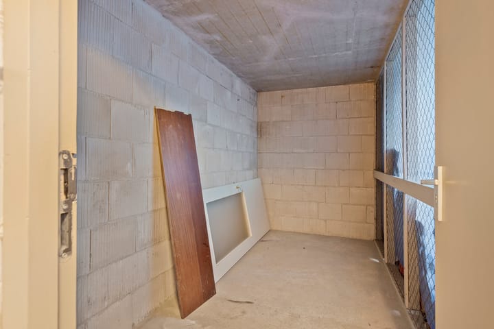 Foto 29 van Schaepmanstraat 101