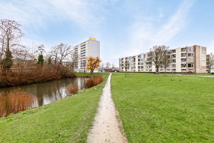 Foto 30 van Schaepmanstraat 101