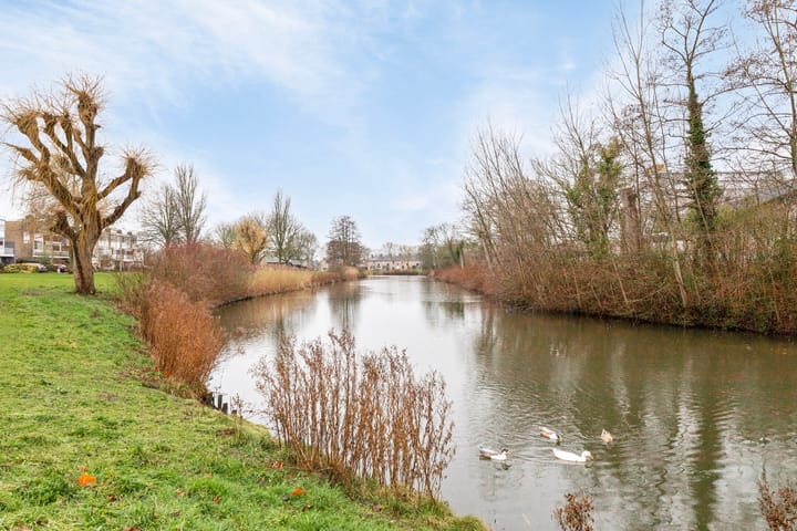 Foto 31 van Schaepmanstraat 101