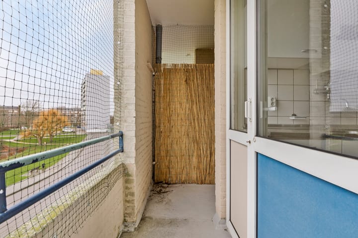 Foto 10 van Schaepmanstraat 101