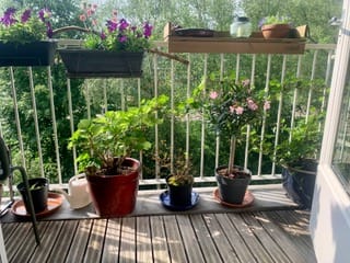 Photo 53 of Lippe Biesterfeldstraat 29-4