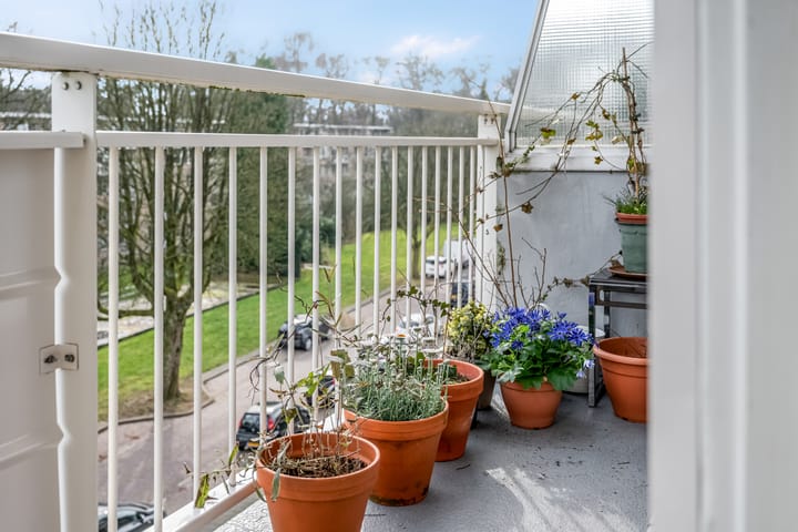 Photo 27 of Lippe Biesterfeldstraat 29-4