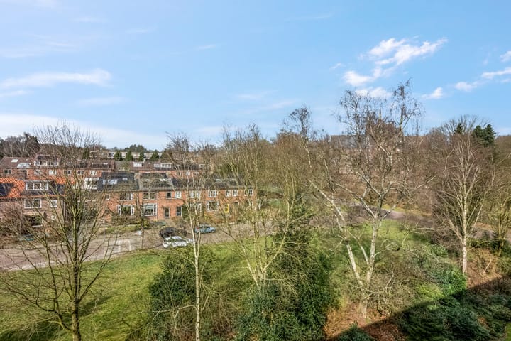 Photo 43 of Lippe Biesterfeldstraat 29-4