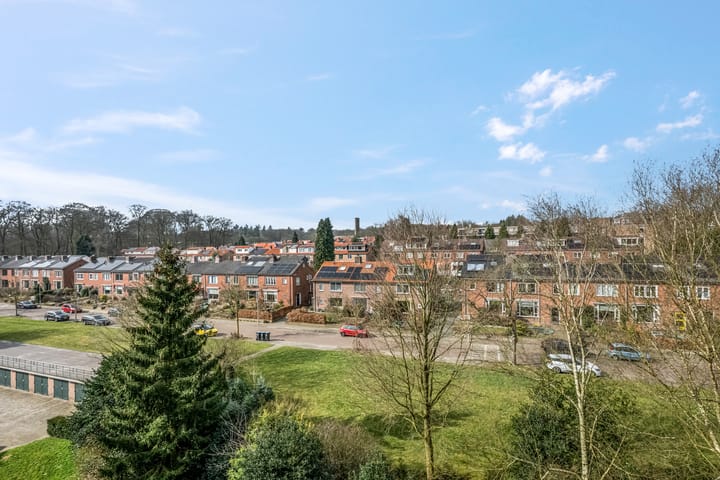 Photo 44 of Lippe Biesterfeldstraat 29-4