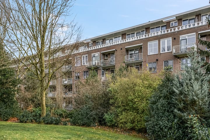 Photo 45 of Lippe Biesterfeldstraat 29-4