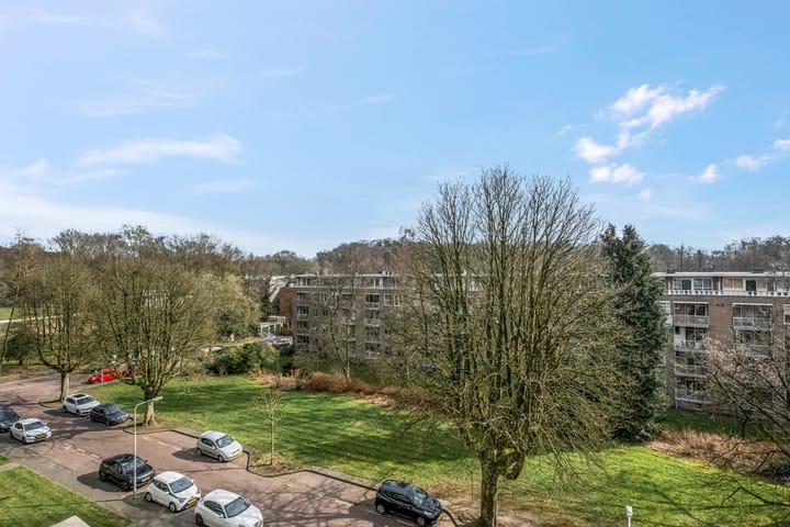 Photo 46 of Lippe Biesterfeldstraat 29-4