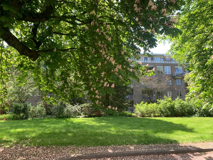 Photo 48 of Lippe Biesterfeldstraat 29-4