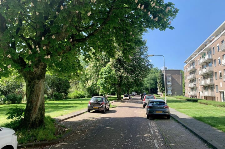 Photo 49 of Lippe Biesterfeldstraat 29-4