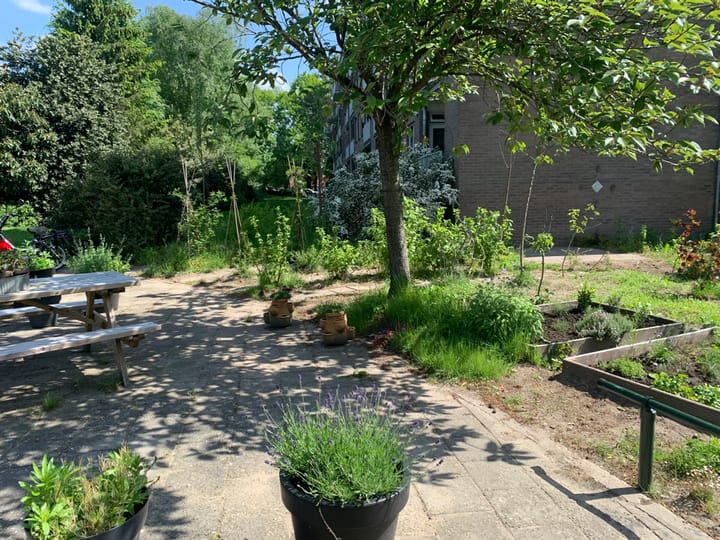 Photo 50 of Lippe Biesterfeldstraat 29-4