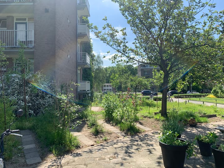 Photo 51 of Lippe Biesterfeldstraat 29-4