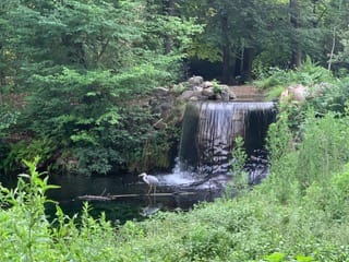 Photo 55 of Lippe Biesterfeldstraat 29-4