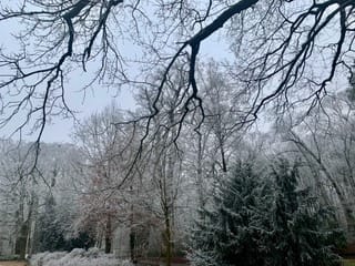 Photo 59 of Lippe Biesterfeldstraat 29-4