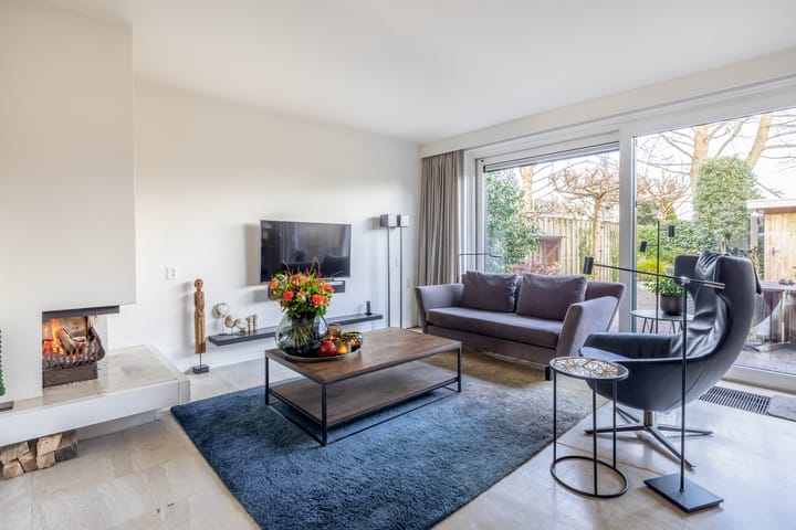 Foto 2 van Saffier 49