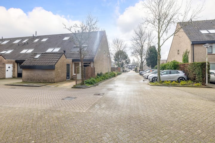 Foto 7 van Saffier 49