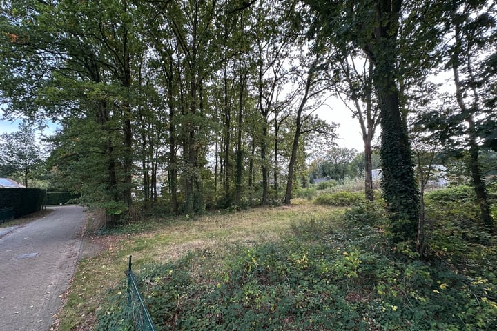 Foto 21 van Geeneind